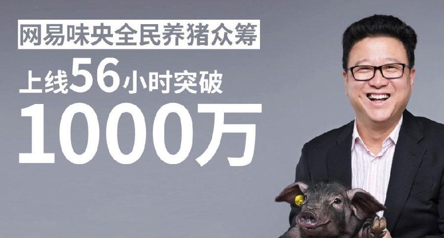 网易丁磊养猪怎么样了?赚了吗