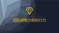 关于团队执行力的简短小故事