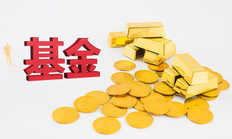 固收 基金什么意思_支付宝固收基金和基金有什么区别