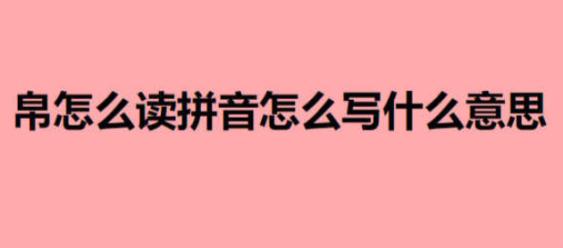 帛怎么读帛的拼音笔画组词汉典帛字的基本解释