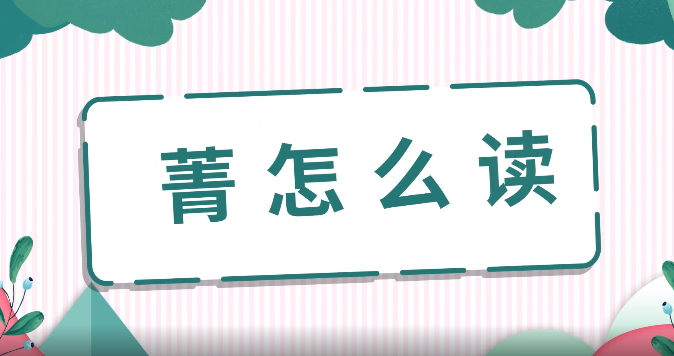 菁怎么读_菁的拼音_笔画_笔顺_组词_什么意思