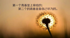 励志语录大全 人生感悟,精致有深意,引人深思