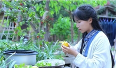 个人ip是什么意思 个人ip又该如何打造