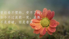 适合各种心情的句子开心-表示自己内心很开心的句子【适合发朋友圈】