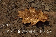 人生感悟的句子经典说说，正能量心灵鸡汤人生感悟句子