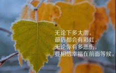 人生哲理的句子经典100字-关于人生感悟的100字段落句子【句句经典】