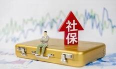 手机上怎么查社保缴费记录,网上怎么查个人社保缴费情况(附查询流程)
