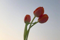 过生日感谢朋友的话简短 生日感言感谢朋友家人