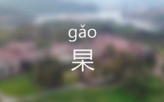 杲怎么读拼音怎么写,杲怎么读拼音是什么字（“杲”和“杳”的区别）