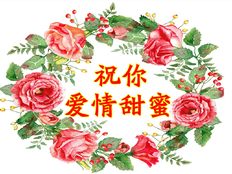 表达元旦美好祝愿的简短句子 元旦祝福的唯美句子