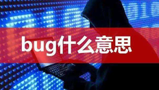 bug是什么意思怎么读_