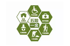 什么是五险一金，五险一金分别指什么作用