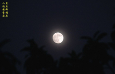 月上柳梢头人约黄昏后是什么节日，描写的是哪个传统节日