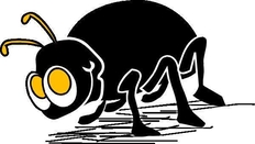 bug是什么意思(网络用语）,自带bug是什么梗