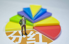 基金分红什么意思,现金分红VS红利再投怎么选