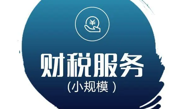 财税公司是做什么的