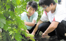 劳动教育心得体会深刻感悟范文（精选8篇）