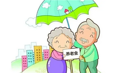 养老保险怎么交网上缴费,养老保险缴费记录怎么查询