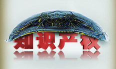 一篇文章告诉你:知识产权的范围主要包括哪些