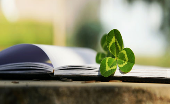 如何提升学历文凭?最全解读,这四种方法助你快速提升学历