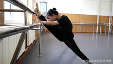 西北地区塑身舞蹈团 兰州慈爱实验艺术职业学校供应