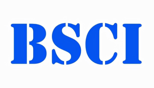 Bsci验厂一般审核公司有哪些（哪些审核公司能够审BSCI）