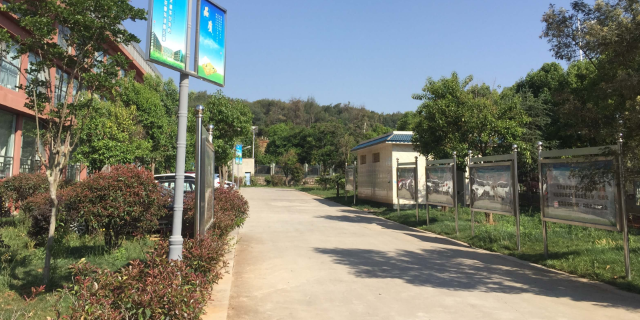 玉溪体育生高考补习,补习