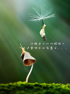 认识自我应该从哪几个方面？认识自我的三个途径