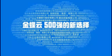 和平区体验金蝶云星空生产管理软件选就找天诚时代服务周到 推荐咨询 天津天诚时代科技供应