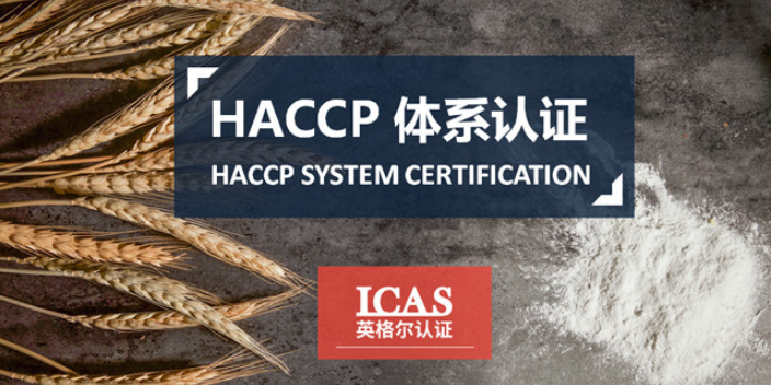 福建食品业haccp咨询,haccp