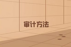 审计干货之审计方法及适用范围,审计方法主要有哪些