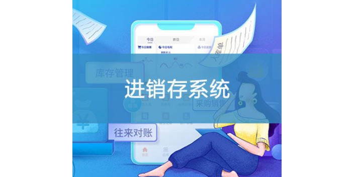 怀化智能化进销存系统行价,进销存系统