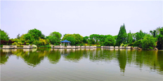 上海郊区风水好的公墓怎么卖 上海瀛新园陵园供应