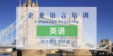 重庆线上线下中小企业员工英语培训定制服务 上海语速达教育科技供应