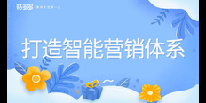 河东区使用金蝶云星辰电商管理软件 欢迎来电 天津天诚时代科技供应