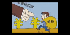 上海业务前景企业税务服务价目表 好帮手企业管理