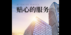 普陀区技术自动化营销系统 信息推荐 上海热搜网络科技有限公司