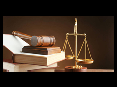浙江综合刑事辩护 贴心服务 上海镇平律师事务所