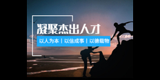 松江区辅助自动化营销创新服务 欢迎咨询 上海热搜网络科技有限公司