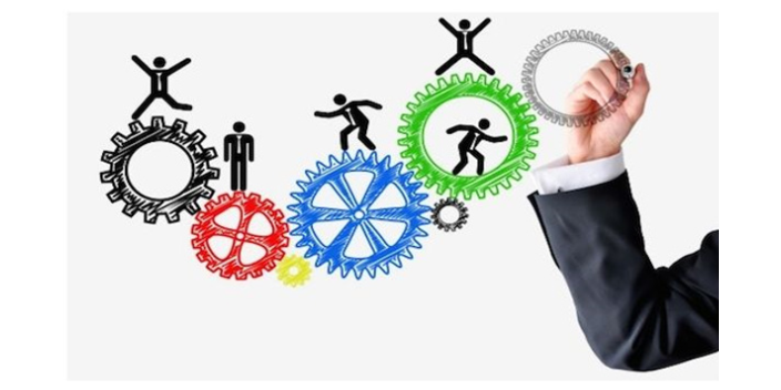 定制企业管理咨询服务,企业管理