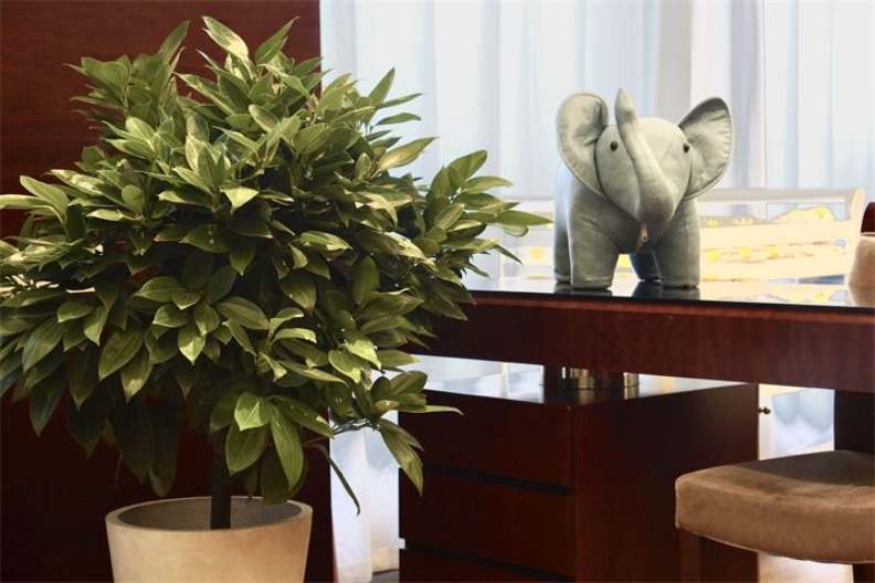 哪家月嫂护理靠谱,月子中心