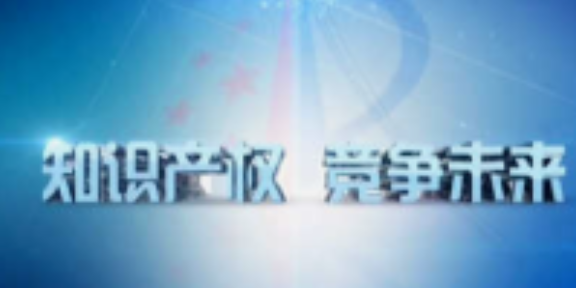 宁波信息化知识产权服务咨询,知识产权