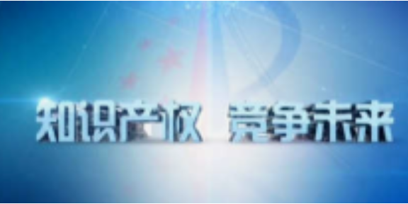 宁波信息化知识产权服务咨询,知识产权