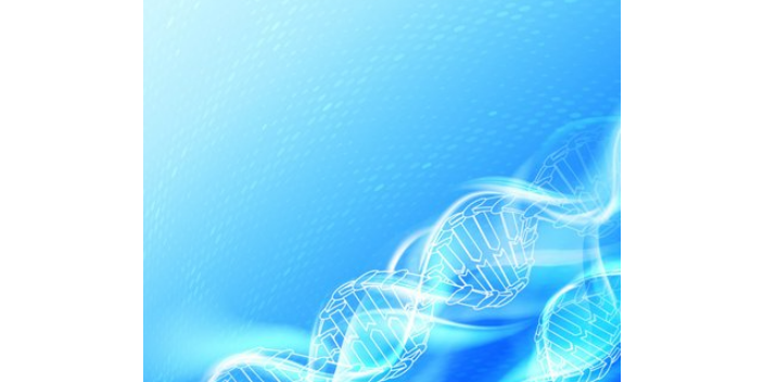 宜城互联网林业有害生物防治服务介绍,林业有害生物防治服务