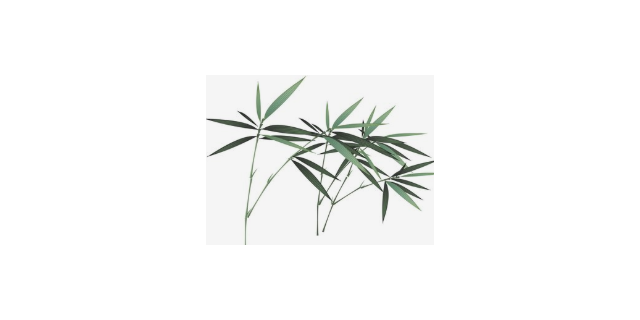 虹口区媒体广告设计生产商市场价格,广告设计生产商