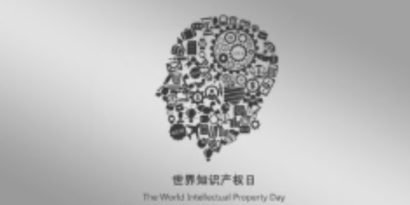 宁波信息化知识产权服务咨询,知识产权