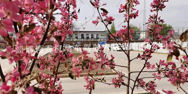 淄博市实验中学附近哪家驾校练车时间自由,驾校