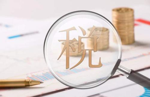 扬州数据税务服务包括什么,税务服务